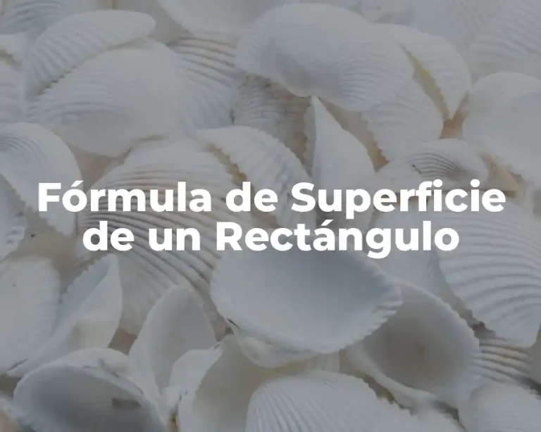 Fórmula de Superficie de un Rectángulo
