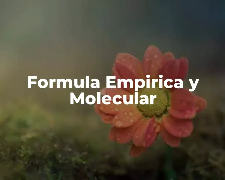 Formula Empirica y Molecular