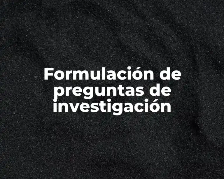 Formulación de preguntas de investigación