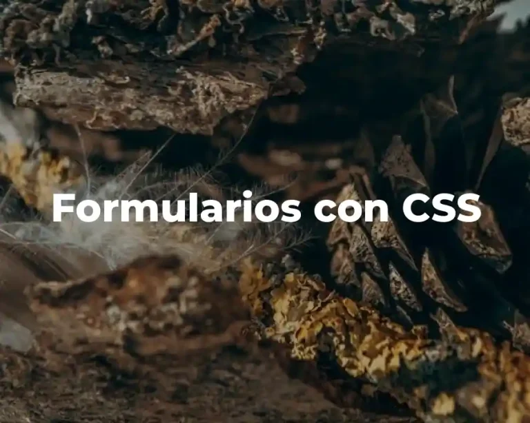Formularios con CSS