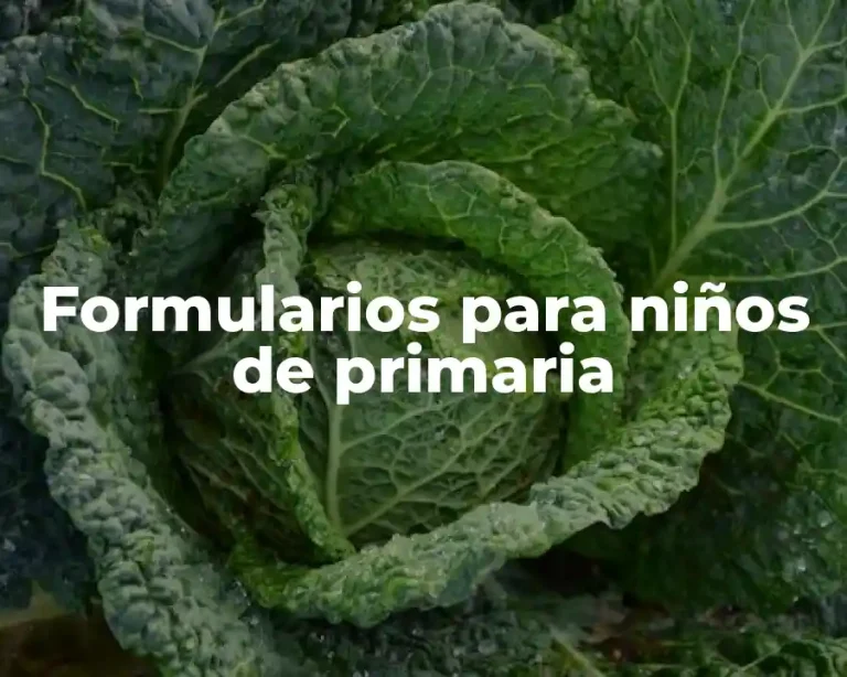 Formularios para niños de primaria