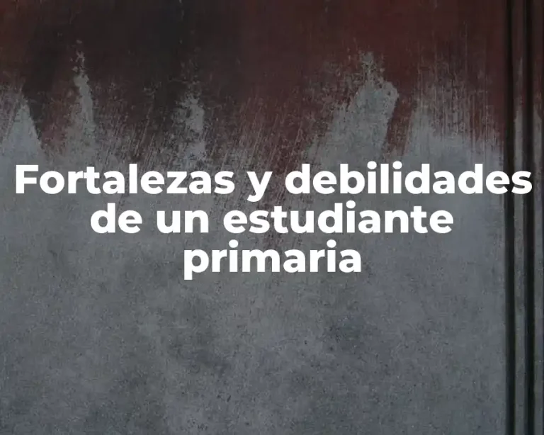 Fortalezas y debilidades de un estudiante primaria