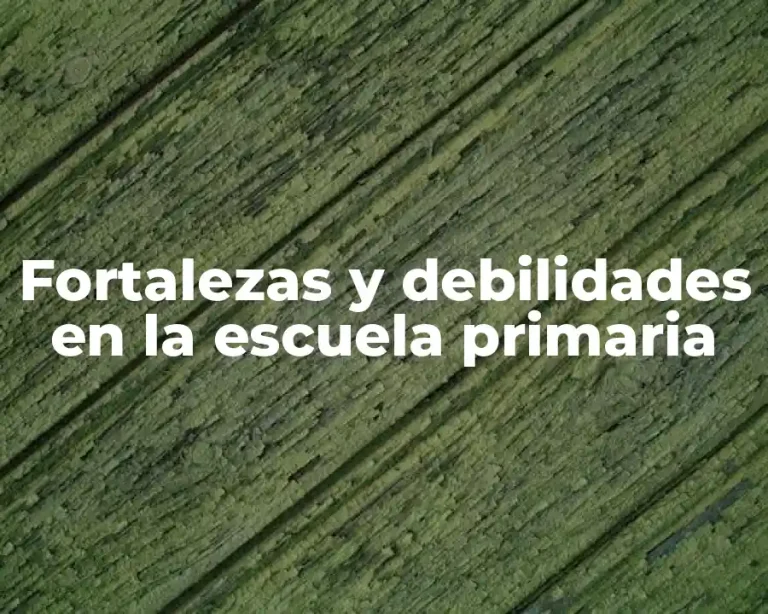 Fortalezas y debilidades en la escuela primaria