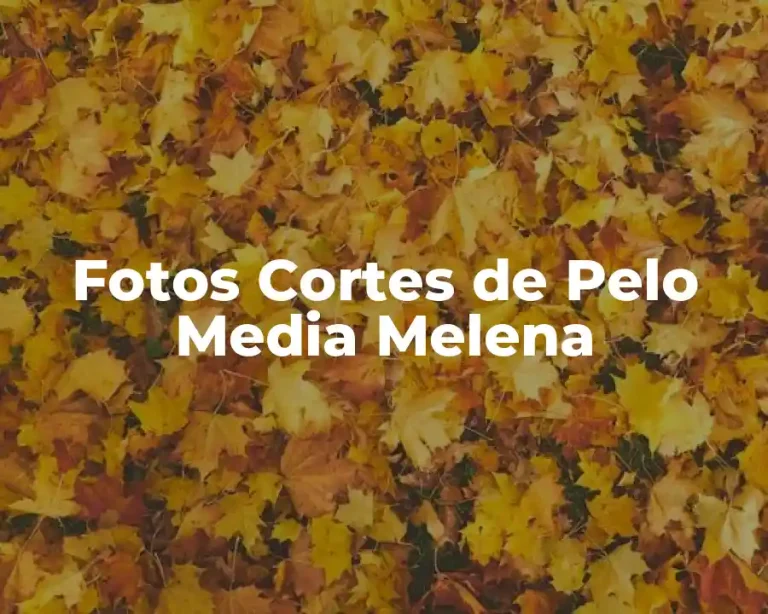 Fotos Cortes de Pelo Media Melena