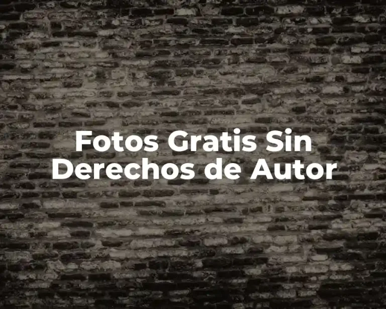 Fotos Gratis Sin Derechos de Autor
