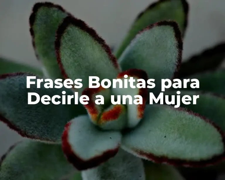 Frases Bonitas para Decirle a una Mujer