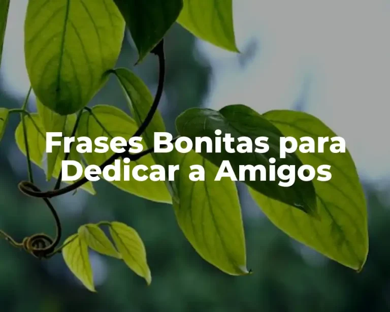 Frases Bonitas para Dedicar a Amigos