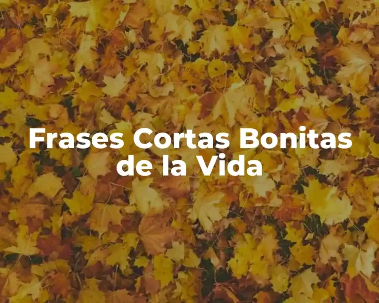 Frases Cortas Bonitas de la Vida
