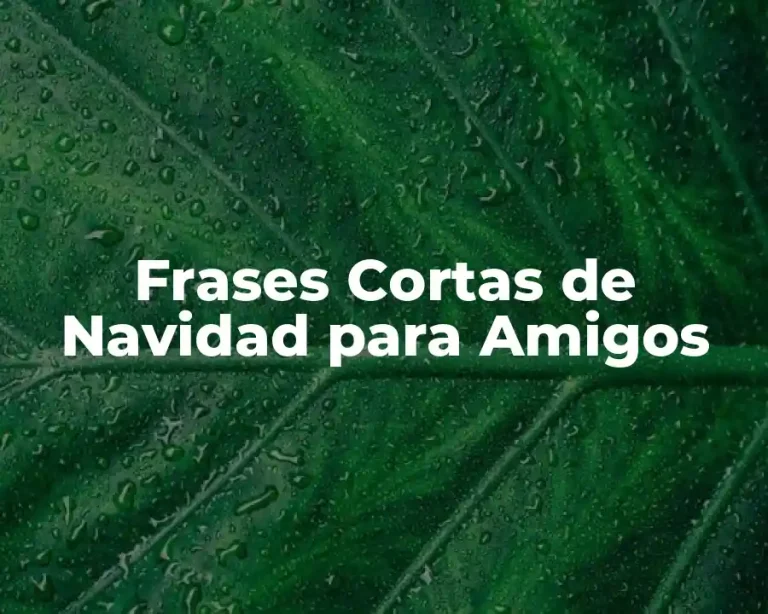 Frases Cortas de Navidad para Amigos