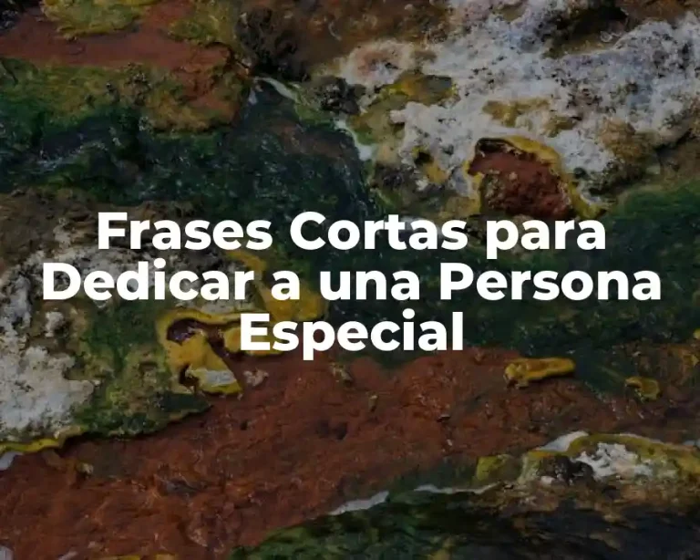 Frases Cortas para Dedicar a una Persona Especial