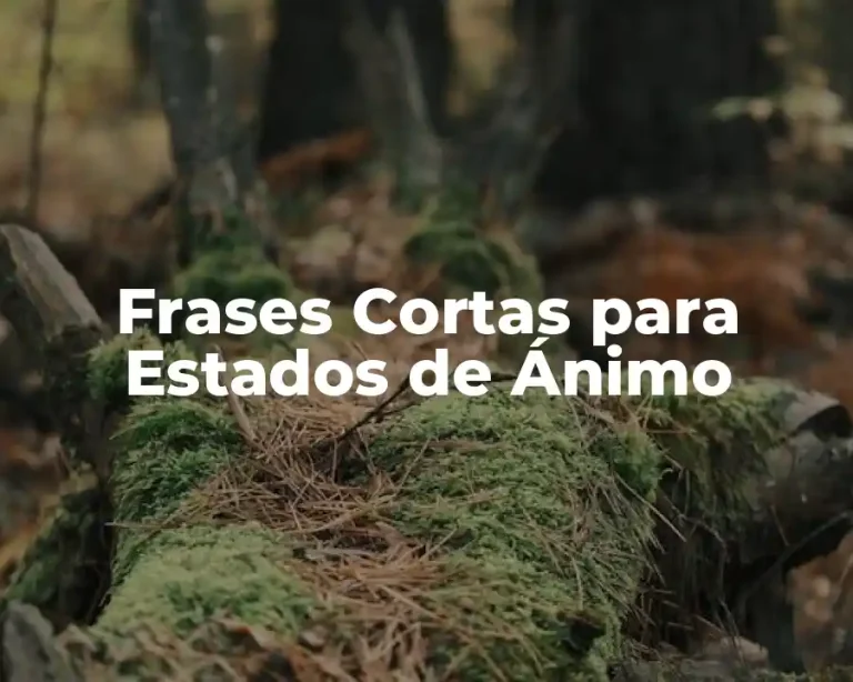 Frases Cortas para Estados de Ánimo