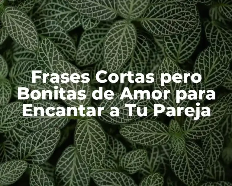 Frases Cortas pero Bonitas de Amor para Encantar a Tu Pareja