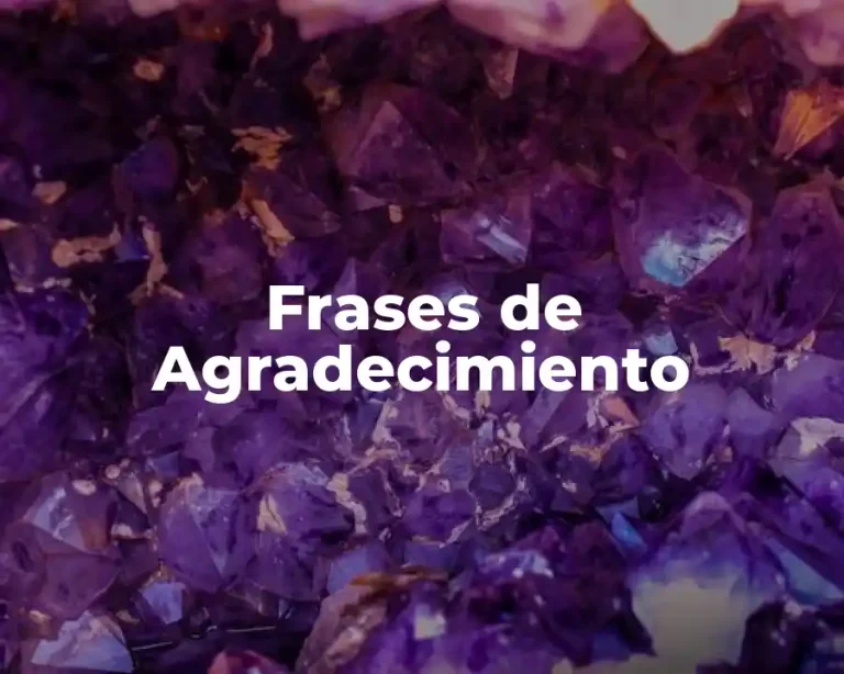 Frases de Agradecimiento