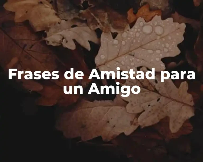 Frases de Amistad para un Amigo