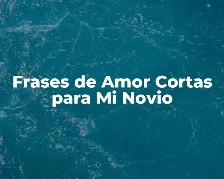 Frases de Amor Cortas para Mi Novio