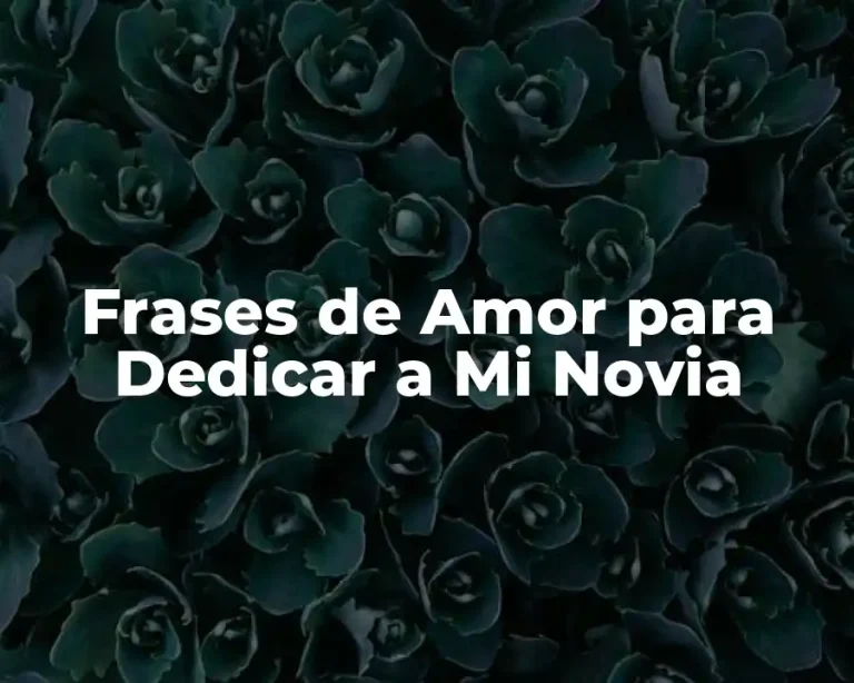 Frases de Amor para Dedicar a Mi Novia