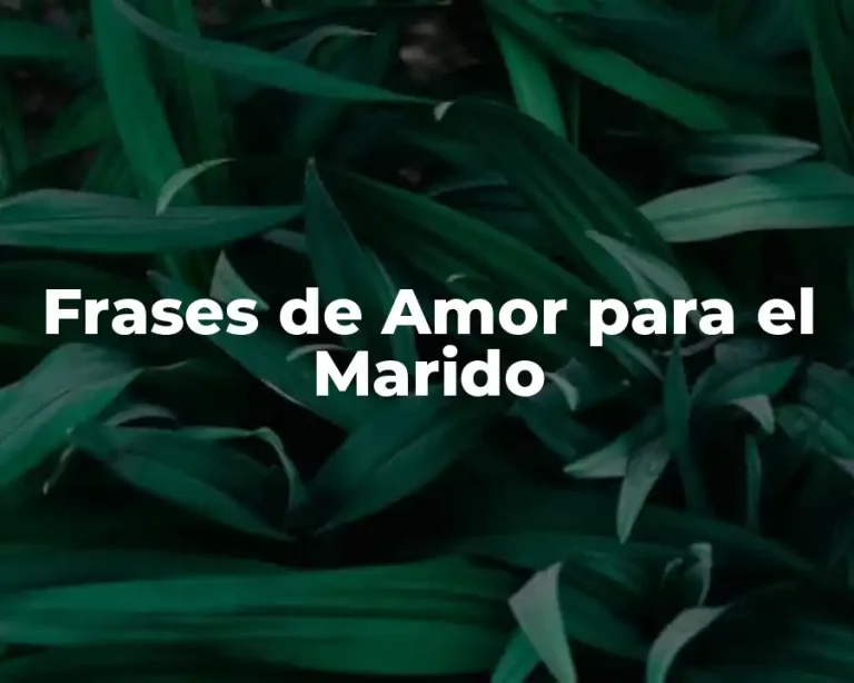 Frases de Amor para el Marido