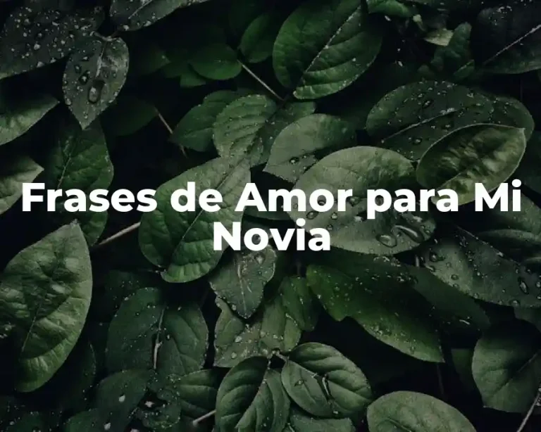Frases de Amor para Mi Novia