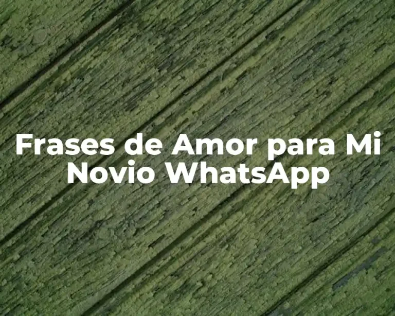 Frases de Amor para Mi Novio WhatsApp