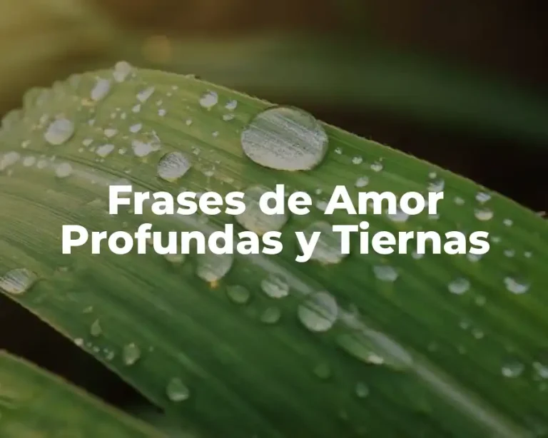 Frases de Amor Profundas y Tiernas