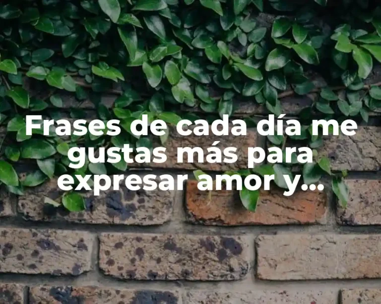 Frases de cada día me gustas más para expresar amor y aprecio