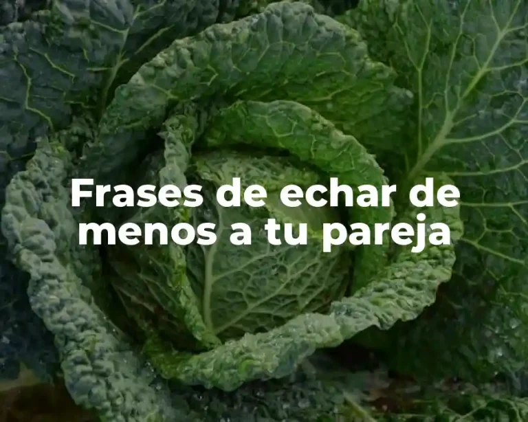 Frases de echar de menos a tu pareja