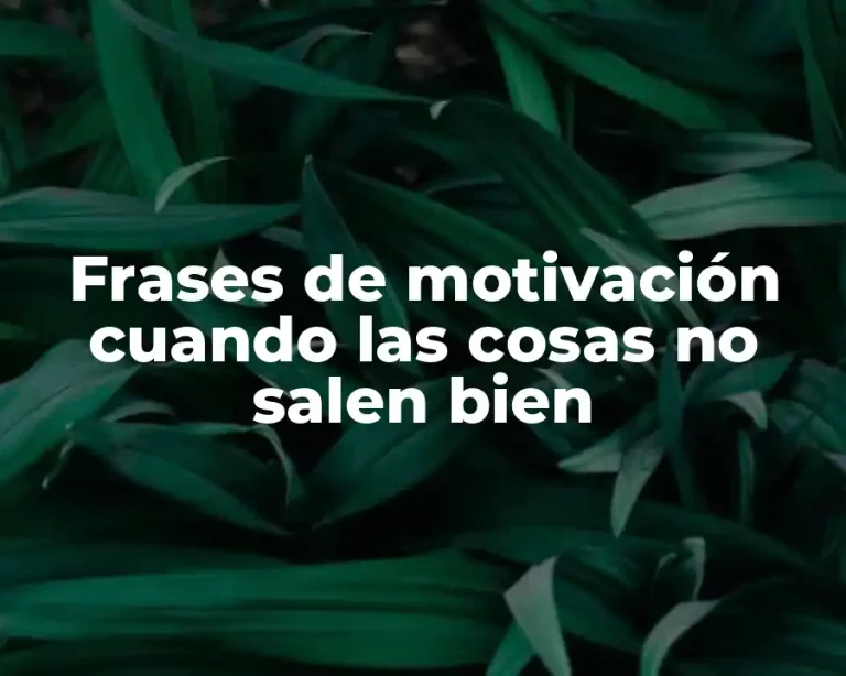 Frases de motivación cuando las cosas no salen bien