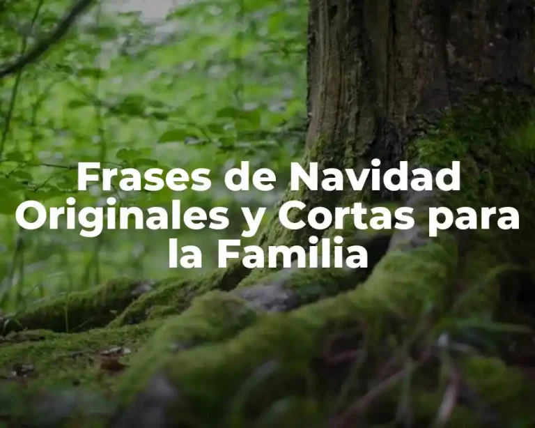 Frases de Navidad Originales y Cortas para la Familia