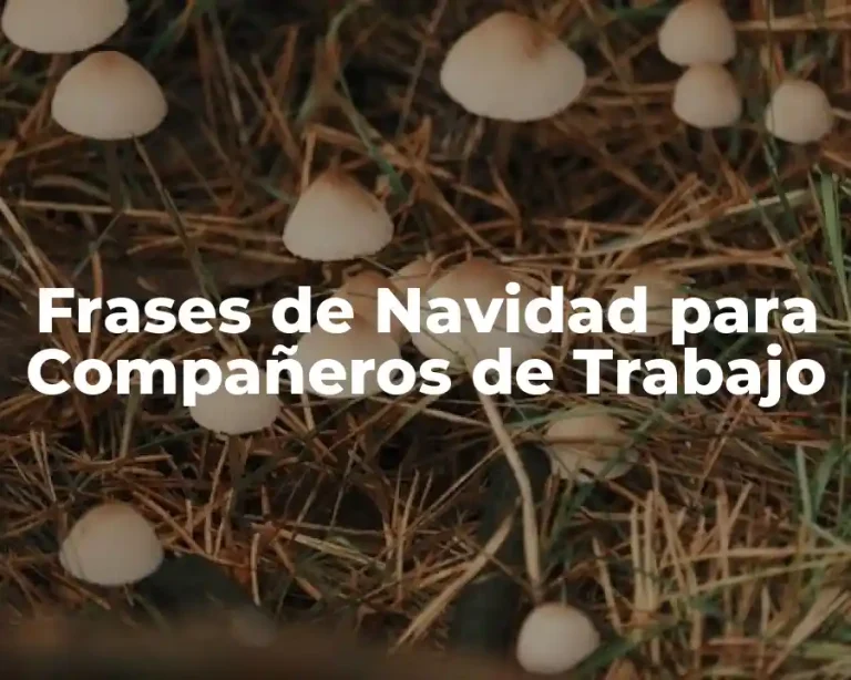 Frases de Navidad para Compañeros de Trabajo