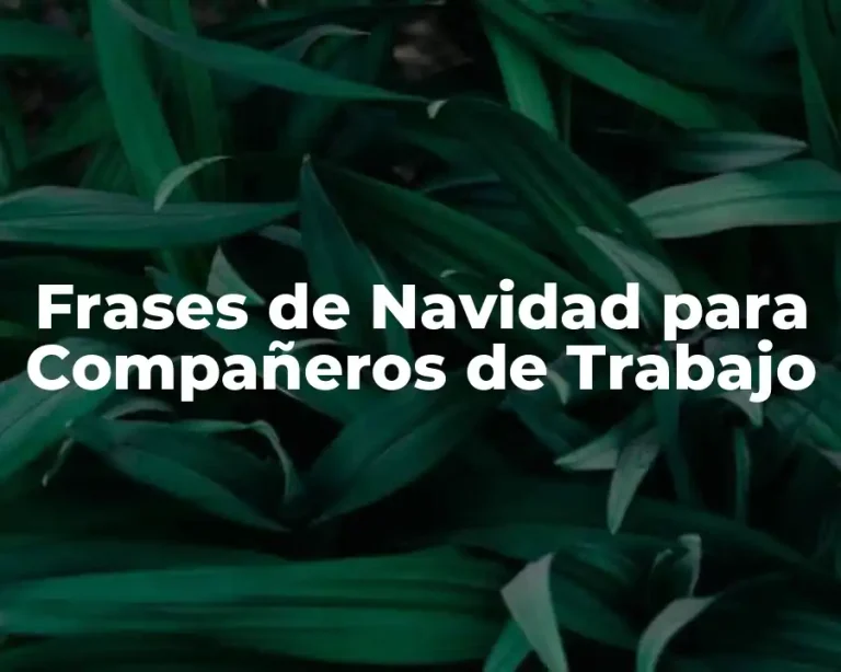 Frases de Navidad para Compañeros de Trabajo