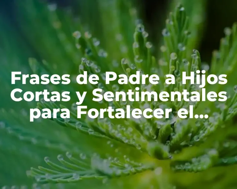 Frases de Padre a Hijos Cortas y Sentimentales para Fortalecer el Vínculo