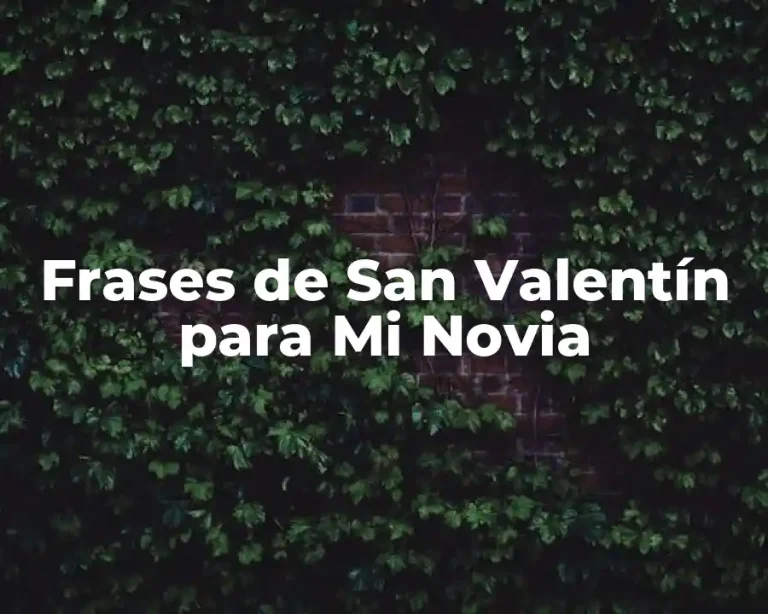 Frases de San Valentín para Mi Novia