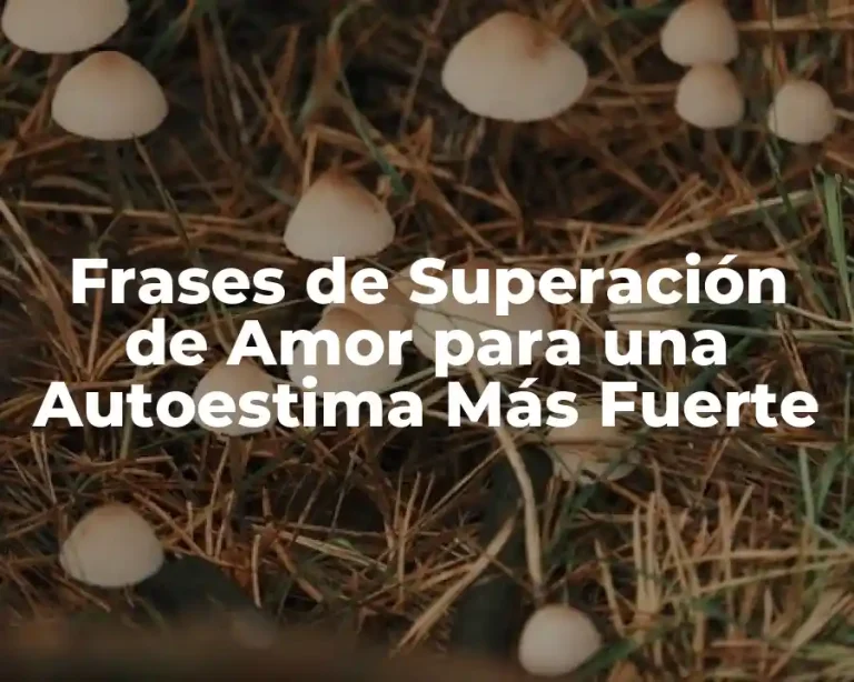 Frases de Superación de Amor para una Autoestima Más Fuerte