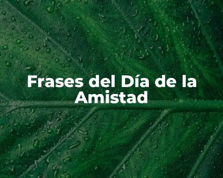 Frases del Día de la Amistad