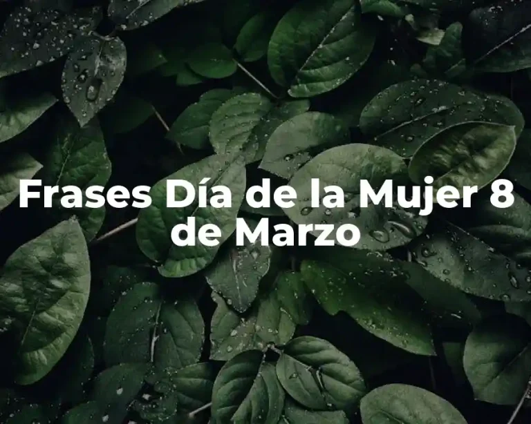 Frases Día de la Mujer 8 de Marzo