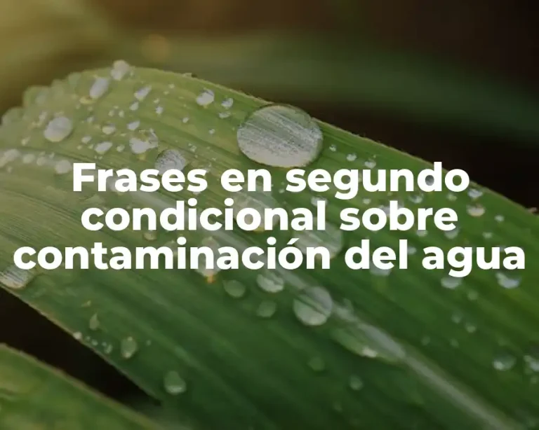 Frases en segundo condicional sobre contaminación del agua