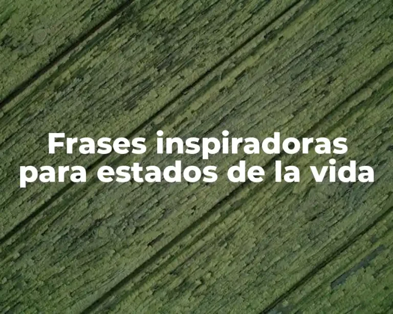 Frases inspiradoras para estados de la vida