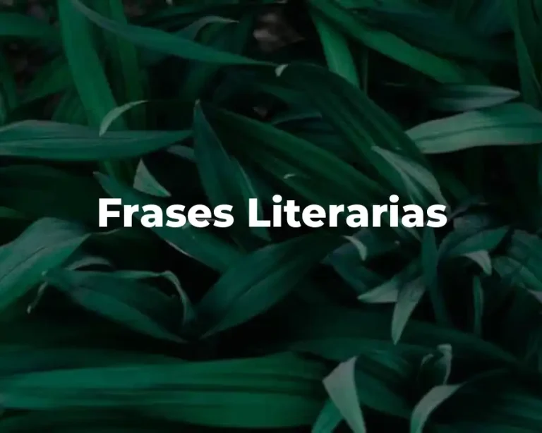 Frases Literarias