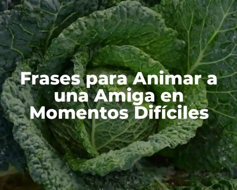 Frases para Animar a una Amiga en Momentos Difíciles