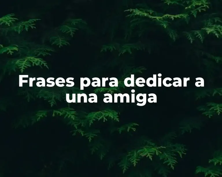 Frases para dedicar a una amiga