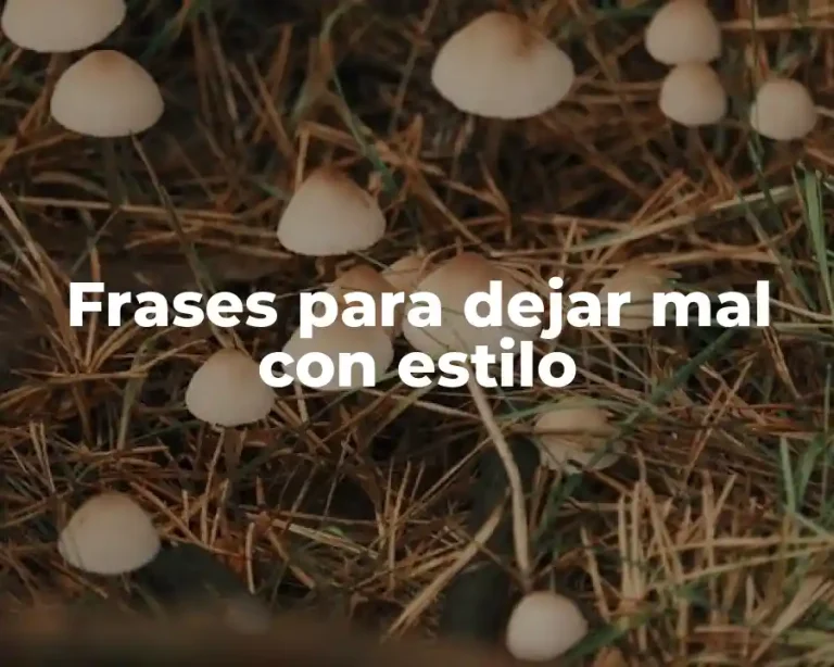 Frases para dejar mal con estilo