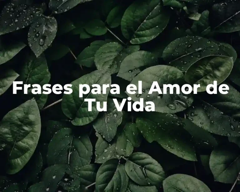 Frases para el Amor de Tu Vida