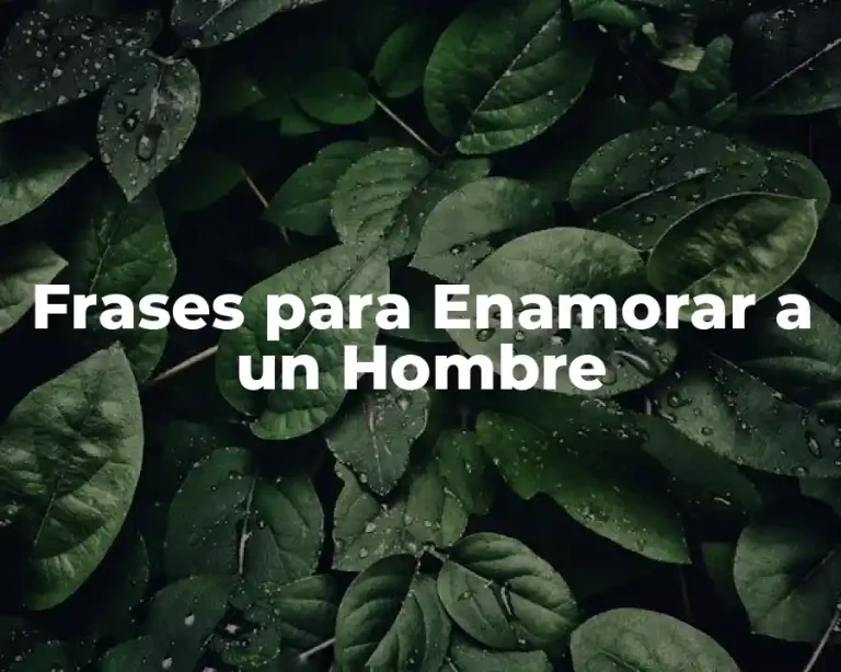 Frases para Enamorar a un Hombre
