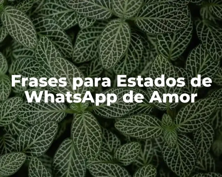 Frases para Estados de WhatsApp de Amor