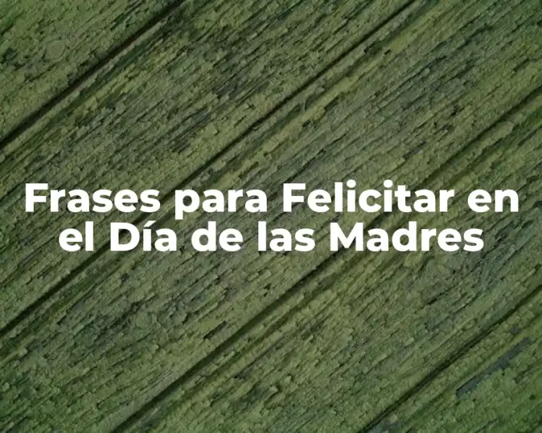 Frases para Felicitar en el Día de las Madres