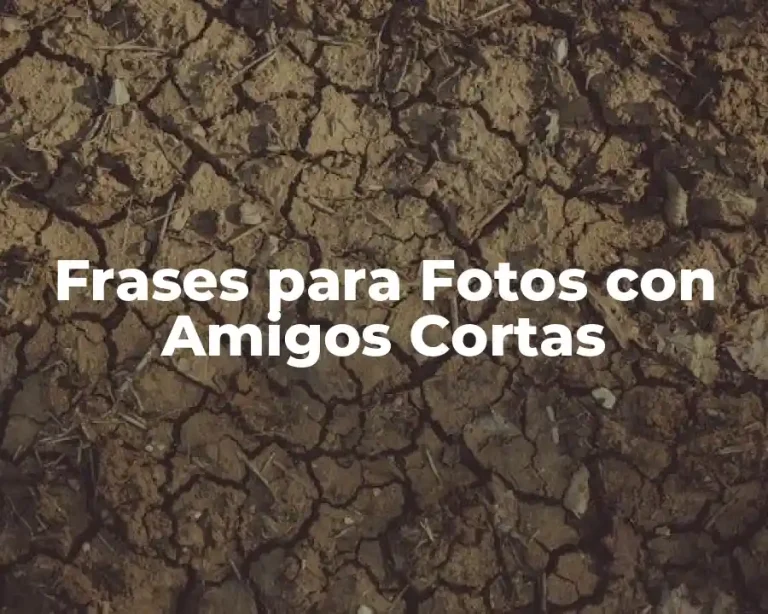 Frases para Fotos con Amigos Cortas