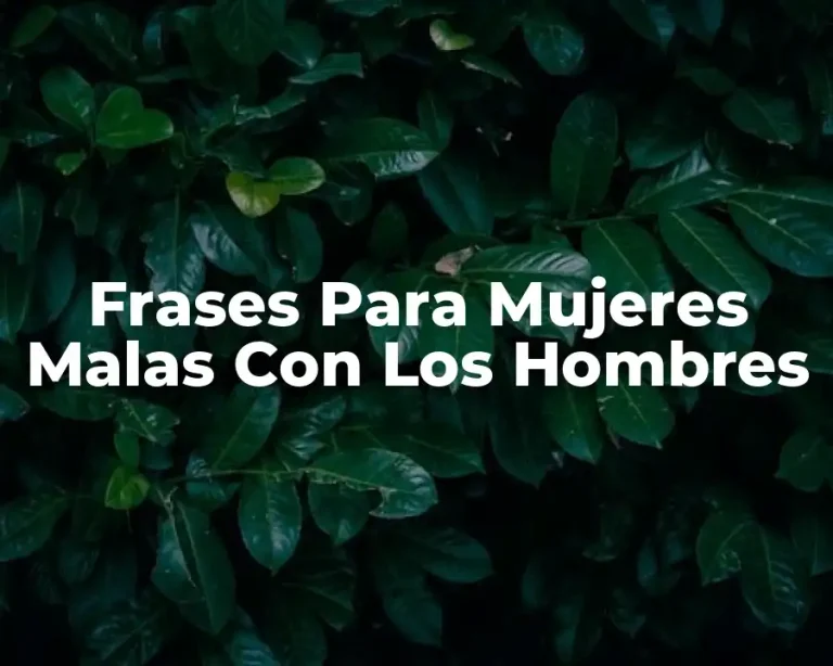 Frases Para Mujeres Malas Con Los Hombres