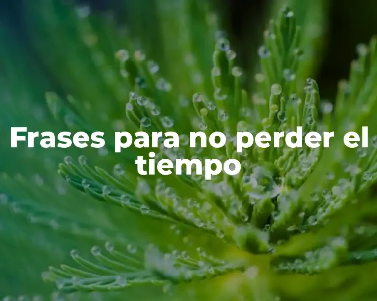 Frases para no perder el tiempo