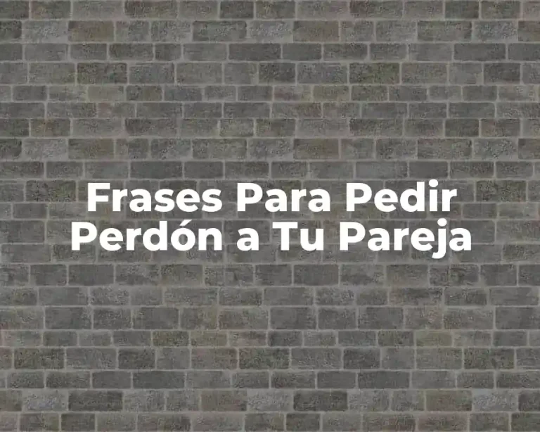 Frases Para Pedir Perdón a Tu Pareja