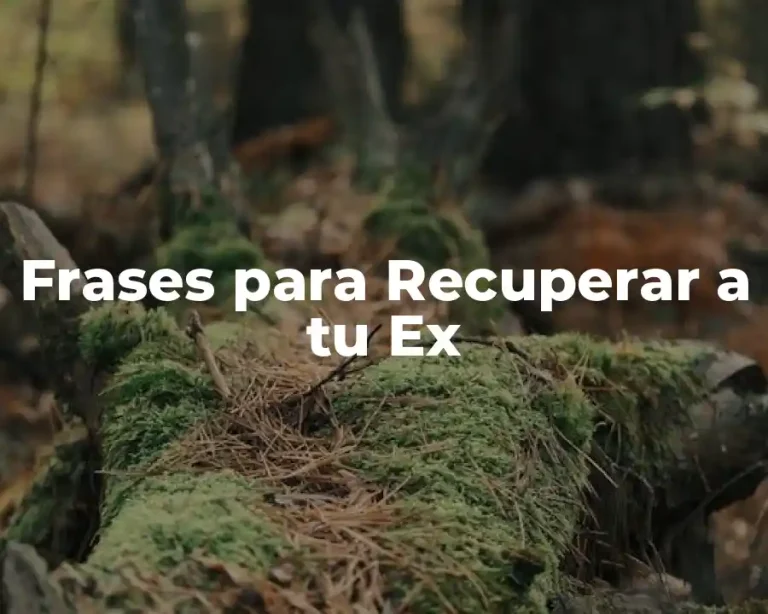 Frases para Recuperar a tu Ex